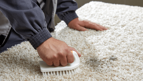 Professional Rug Cleaning Moonee Vale
